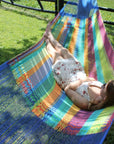 Cotton Colourful Hammock