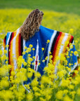 Mexican Blanket in Field of Flowers