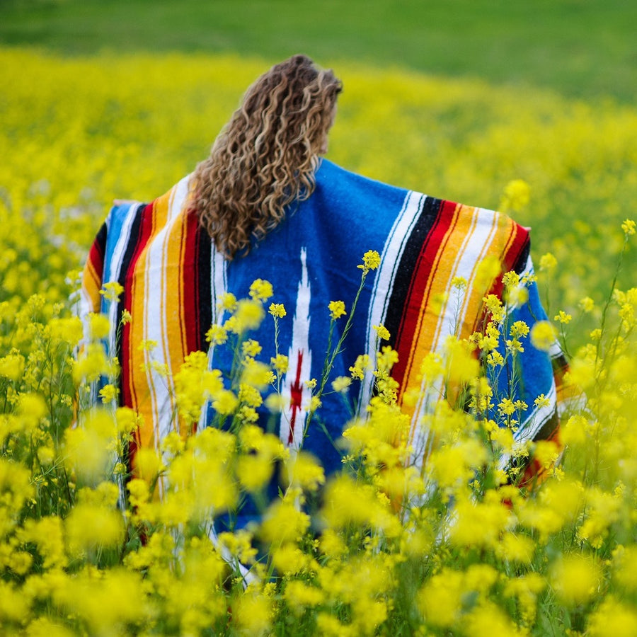 Mexican Blanket in Field of Flowers