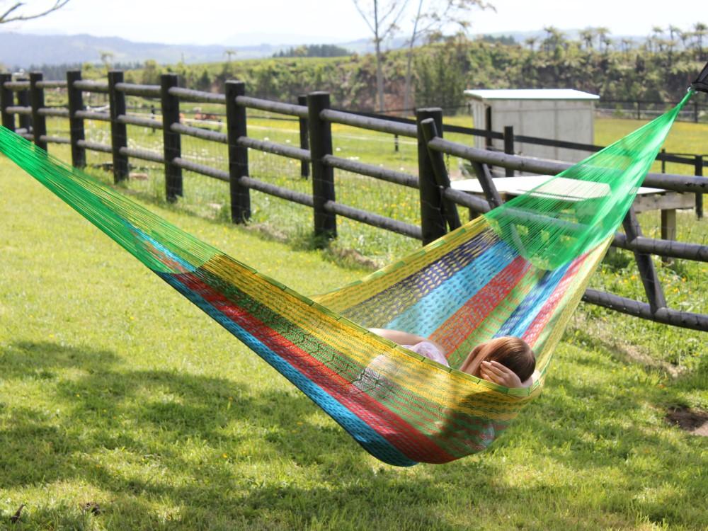 Mexican Tree Hung Hammock