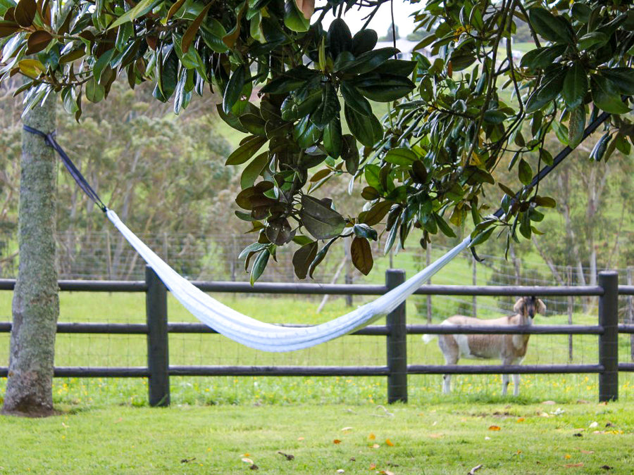 Hammock Hanging From Trees